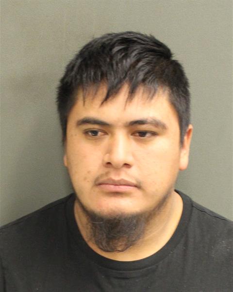  MICHEL SEGUNDOFELIX Mugshot / County Arrests / Orange County Arrests