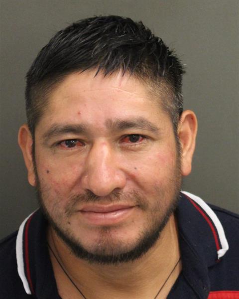  MANUEL MORALES Mugshot / County Arrests / Orange County Arrests