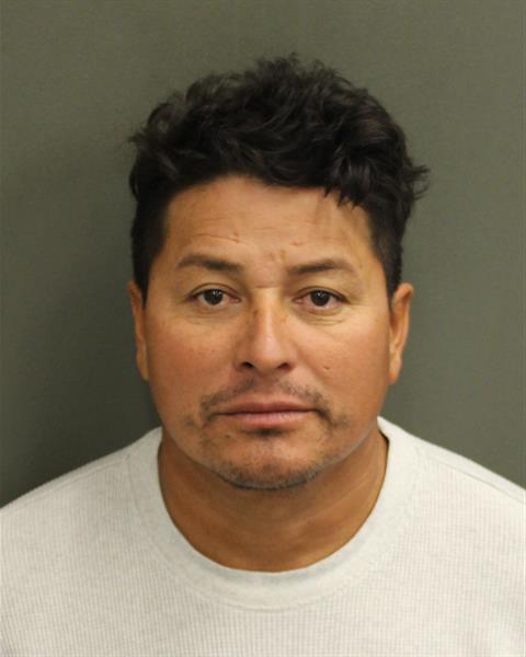  WILMER BENITOGARCIA Mugshot / County Arrests / Orange County Arrests