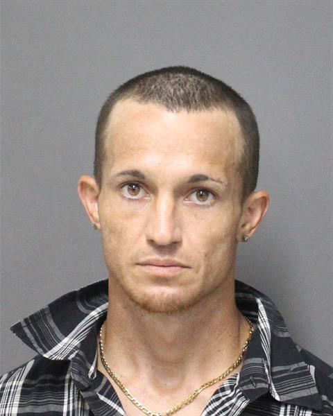  BRADLEY TODD JR GORNALL Mugshot / County Arrests / Orange County Arrests