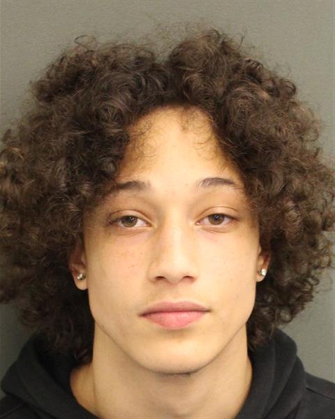 GABRIEL MICHAEL WILLIAMS Mugshot GABRIEL MICHAEL WILLIAMS Mugshot / County Arrests / Orange County Arrests