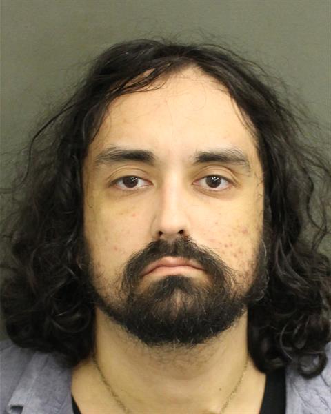  DANIEL VINCENT SCHAUB Mugshot / County Arrests / Orange County Arrests