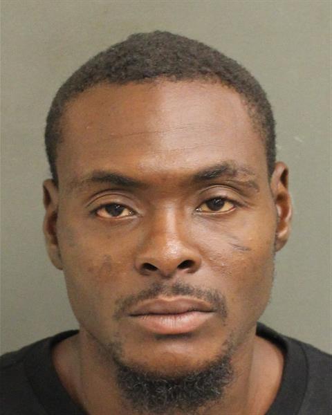  LINZEY STEVENSON Photo Image