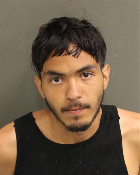  LUKE JUNIOR LARSON Mugshot / County Arrests / Orange County Arrests