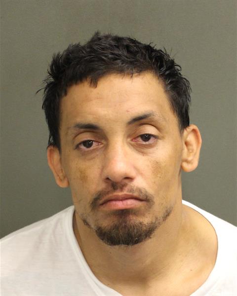  ANDREW ROBERT MCGRATH Mugshot / County Arrests / Orange County Arrests