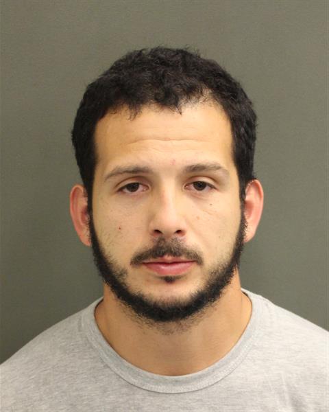  FERNANDO NATAL DESOUZAPEDROTTI Mugshot / County Arrests / Orange County Arrests