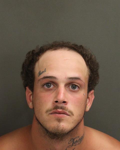  ANDY MOLINA ALEXANDER Mugshot / County Arrests / Orange County Arrests