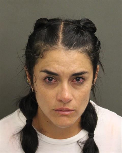  YULIANA MARIA SUESCA Mugshot / County Arrests / Orange County Arrests
