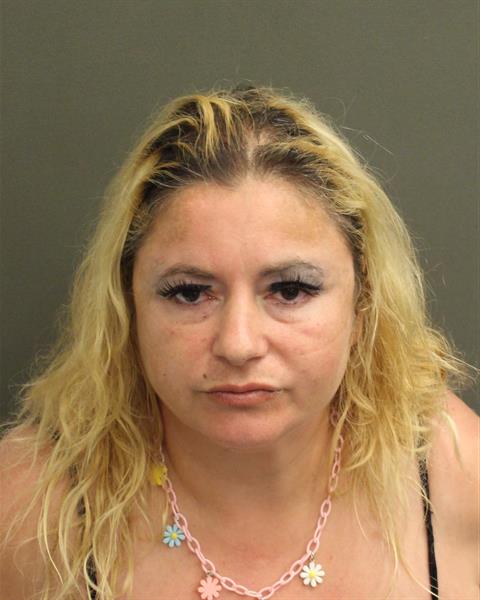  LOUISE BORTUGNO Mugshot / County Arrests / Orange County Arrests