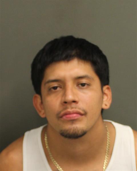  FRANCISCO JAVIER RAMIREZ Mugshot / County Arrests / Orange County Arrests