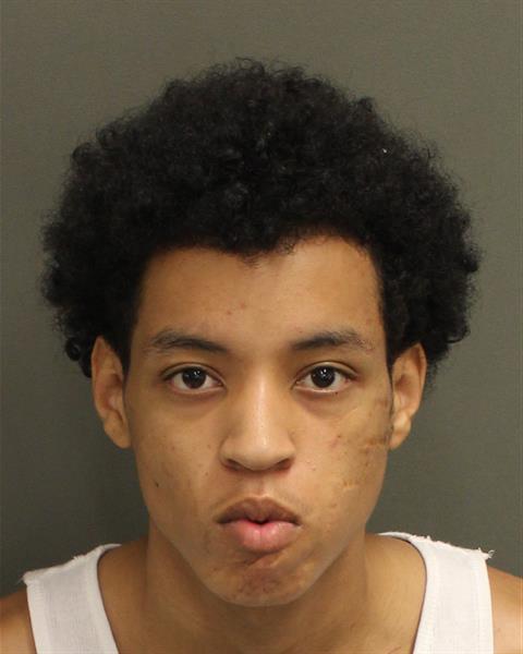  RICARDO LUIS PETERSON Mugshot / County Arrests / Orange County Arrests