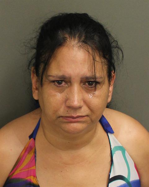  YAMILKA GUEVARA Mugshot / County Arrests / Orange County Arrests