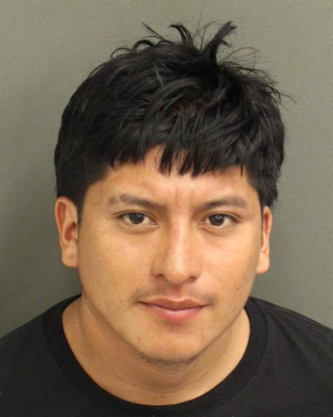  RIKY W MEJIA LOPEZ Mugshot / County Arrests / Orange County Arrests