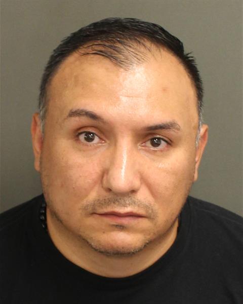  LUIS HERNANDO RICARDOACOSTA Mugshot / County Arrests / Orange County Arrests