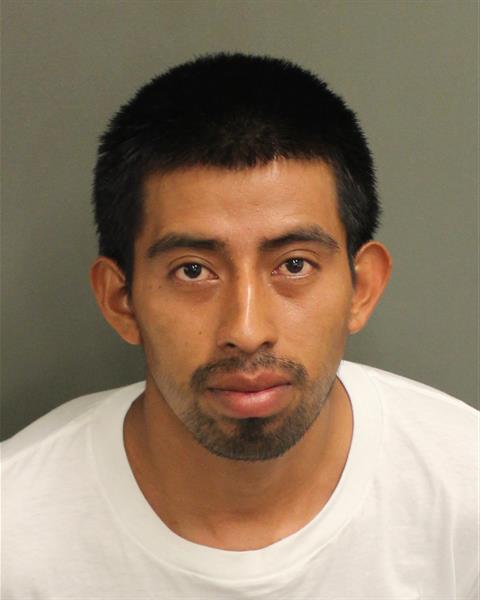  EVER MEJIA Photo Image