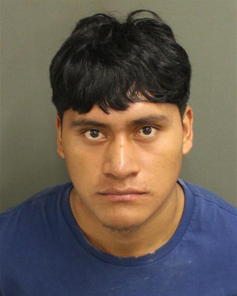 ELFIDO ALFONSO RAMIREZGOMEZ Mugshot ELFIDO ALFONSO RAMIREZGOMEZ Mugshot / County Arrests / Orange County Arrests