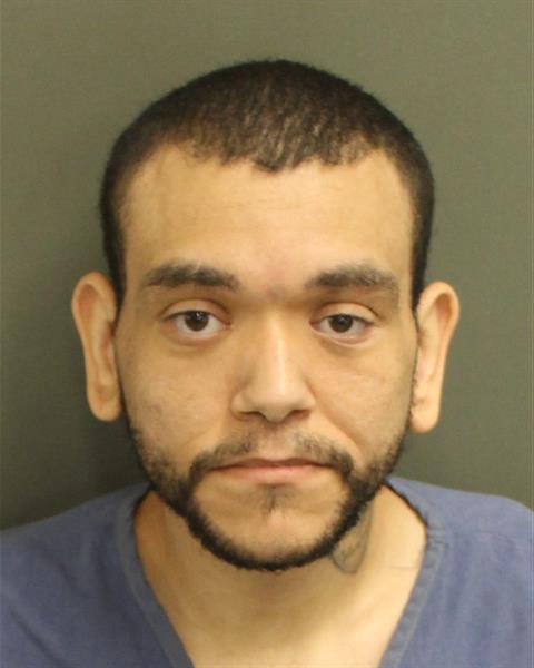  GIL HANS JR PEREZ Mugshot / County Arrests / Orange County Arrests
