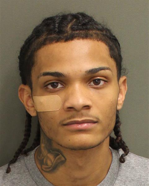  SAVION ARMONI SAVAGE Mugshot / County Arrests / Orange County Arrests
