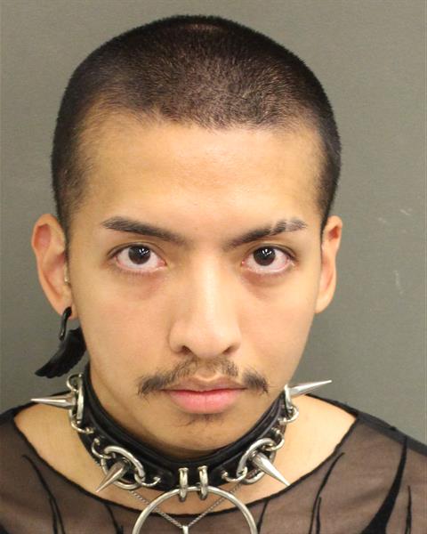  JOSHUA GIAN VARELA Mugshot / County Arrests / Orange County Arrests