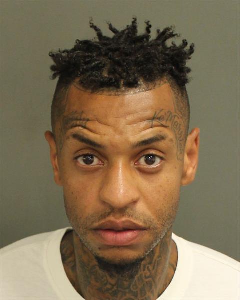  RONELLE RICO JOHNSON Photo Image