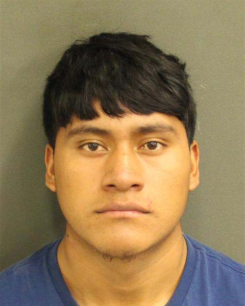  ELFIDO ALFONSO RAMIREZGOMEZ Mugshot / County Arrests / Orange County Arrests