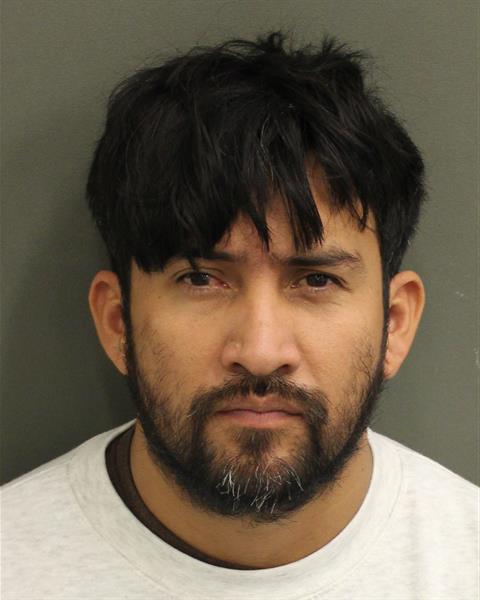 BYRON AMILCAR MENDEZLOPEZ Mugshot / County Arrests / Orange County Arrests