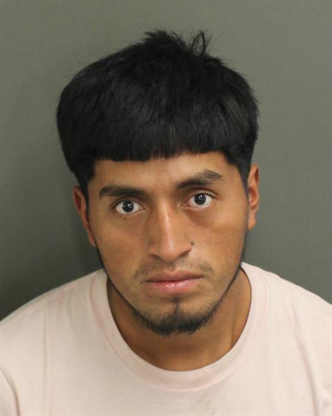  JORGE MOISES MORALESVELASQUEZ Photo Image