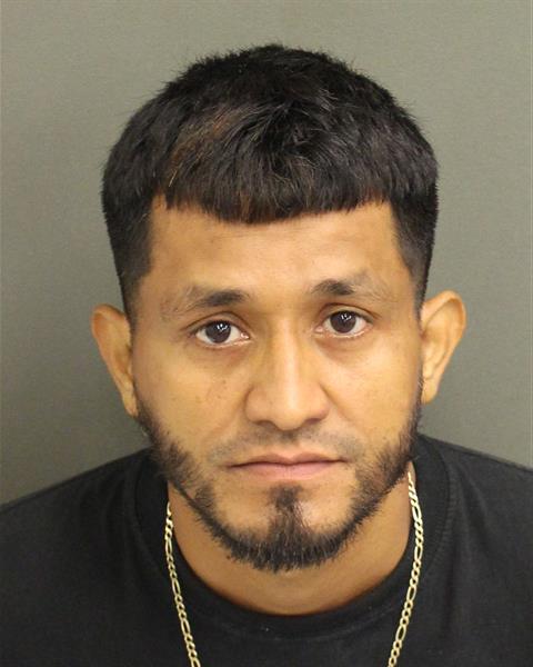  JOSE ADONAY MEIJAULLOA Mugshot / County Arrests / Orange County Arrests
