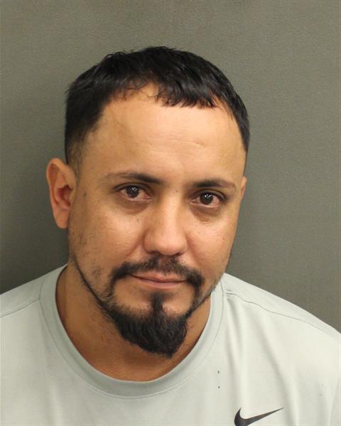  ALFONSO LEONCASTILLO Mugshot / County Arrests / Orange County Arrests