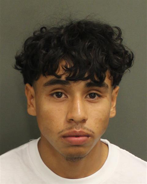  SERJIO LUPIANBERNABE Photo Image