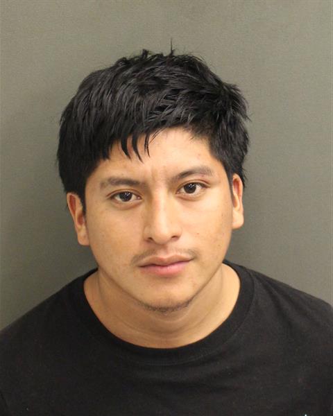  RICKY WALTER MEJIALOPEZ Photo Image