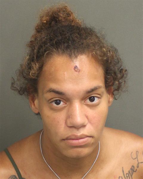  JESSICA ANNE FEARS Mugshot / County Arrests / Orange County Arrests