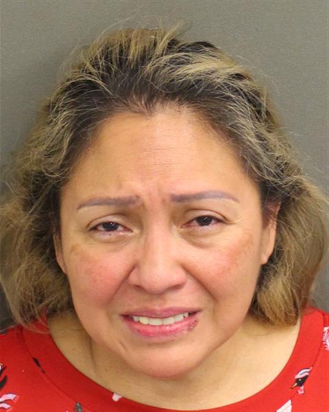  GILDA FABIOLA VASQUEZDEARMENDARI Mugshot / County Arrests / Orange County Arrests