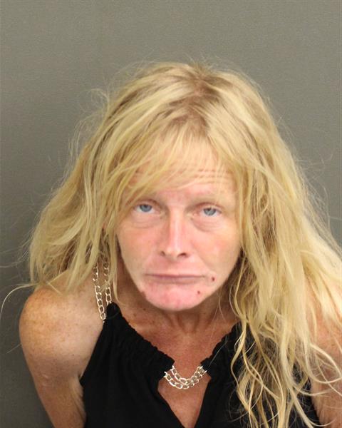 ERIN NICOLE WALKER Mugshot / County Arrests / Orange County Arrests