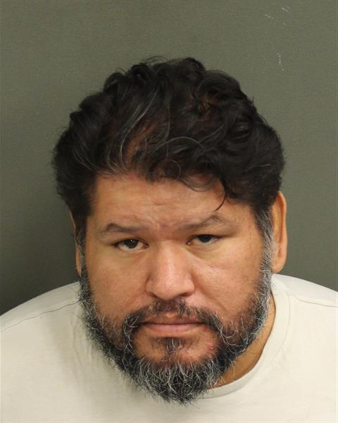  CAMILO REYESPEREZ Mugshot / County Arrests / Orange County Arrests