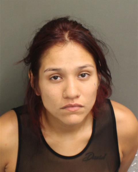  ERIKA JENNIFER FICEK Mugshot / County Arrests / Orange County Arrests