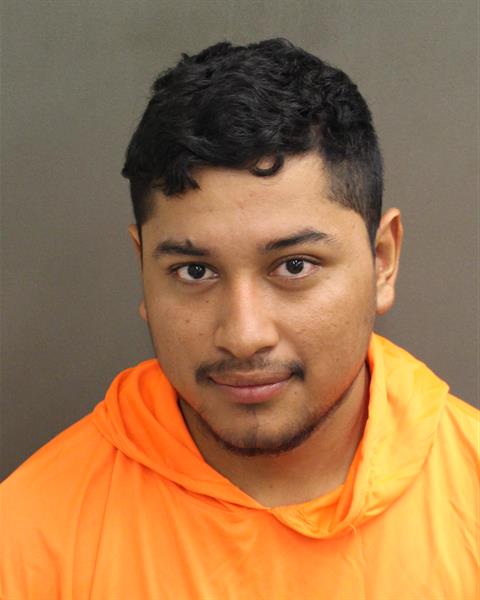  ADONIS MEMBRENOGARCIAGERMAN Mugshot / County Arrests / Orange County Arrests