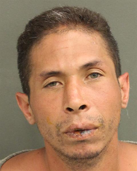  NEIL WAGNER ARCE Mugshot / County Arrests / Orange County Arrests
