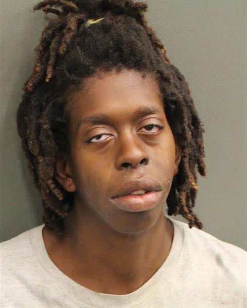  EMMANUELLE DUGUE Mugshot / County Arrests / Orange County Arrests