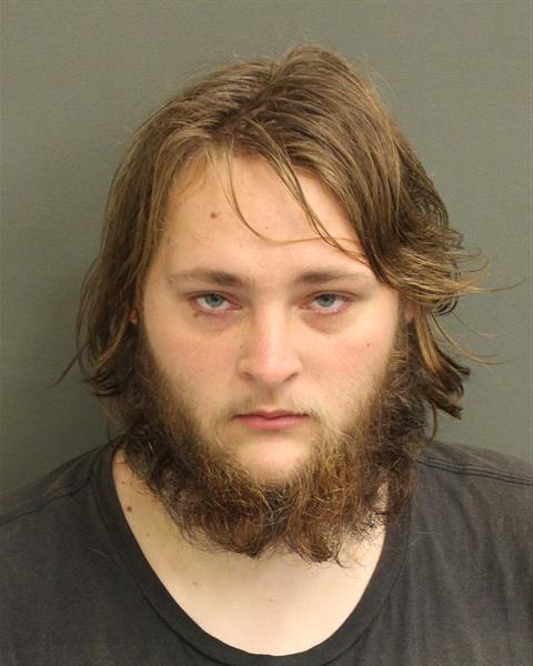  DAKOTA DEAN HENDRICKS Mugshot / County Arrests / Orange County Arrests