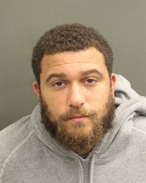  RICCARDO EMMANUEL ROBUTTI Mugshot / County Arrests / Orange County Arrests