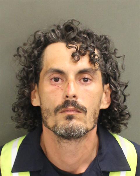  ERROL LUIS ARIASSERRANO Mugshot / County Arrests / Orange County Arrests