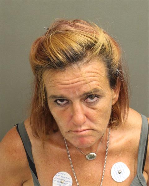 TABITHA LYNN BOZARTH Mugshot / County Arrests / Orange County Arrests