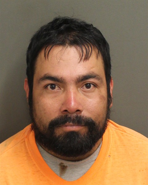  DAVID CHACONCASTANEDA Photo Image