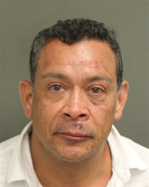  ADRIAN FELIZORTEGA Mugshot / County Arrests / Orange County Arrests