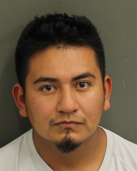  ALDAIR RICARDO DIAZECHEGOYEN Mugshot / County Arrests / Orange County Arrests