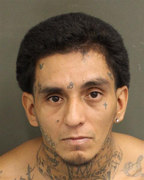  RIGO BERTO LOPEZ Photo Image
