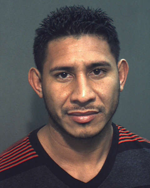 SELVIN EDGAR E GALLARDOMADRID Photo Image SELVIN EDGAR E GALLARDOMADRID Photo Image