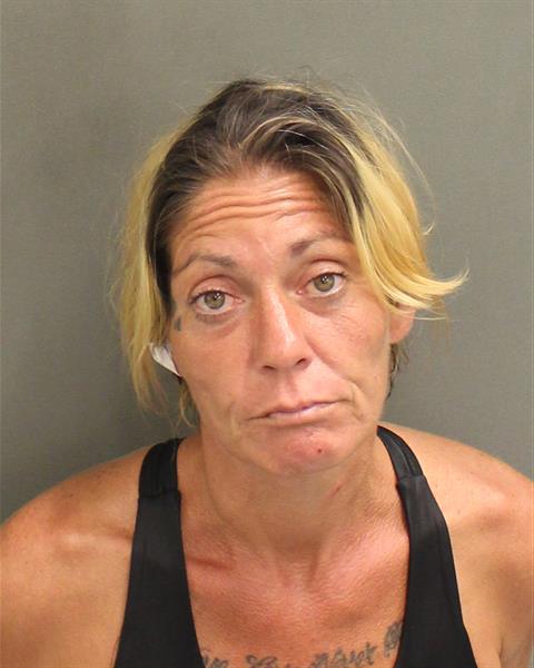  ASHLEY ELIZABETH FRYE Mugshot / County Arrests / Orange County Arrests