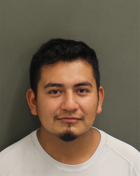  ALDAIR RICARDO DIAZECHEGOYEN Mugshot / County Arrests / Orange County Arrests